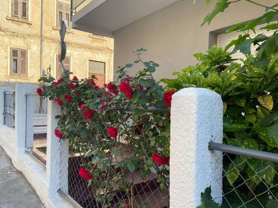 Green Oasis New Apartment プーラ エクステリア 写真